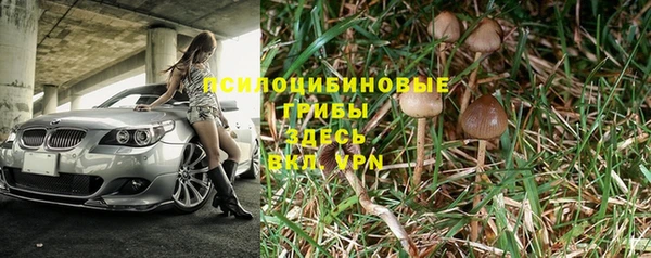 MDMA Няндома