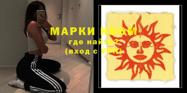 шишки Нязепетровск
