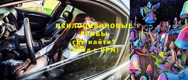 шишки Нязепетровск