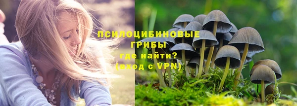 шишки Нязепетровск
