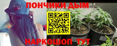 прущие грибы Волгодонск