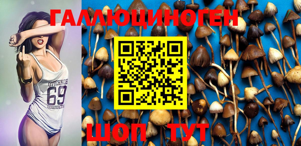 Псилоцибиновые грибы Psilocybine cubensis Кохма